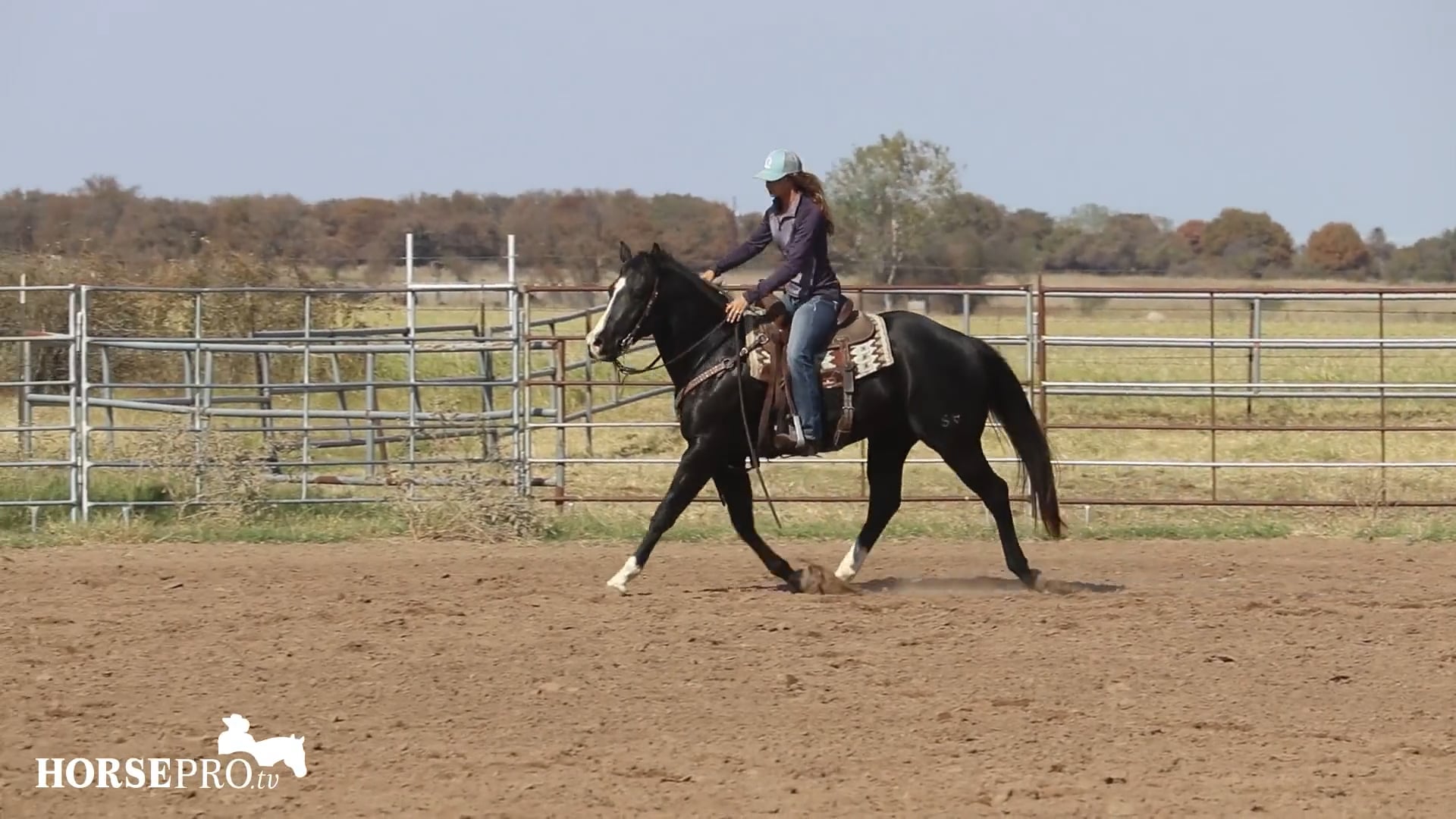 Starting a Horse in Barrel Training (Sam)