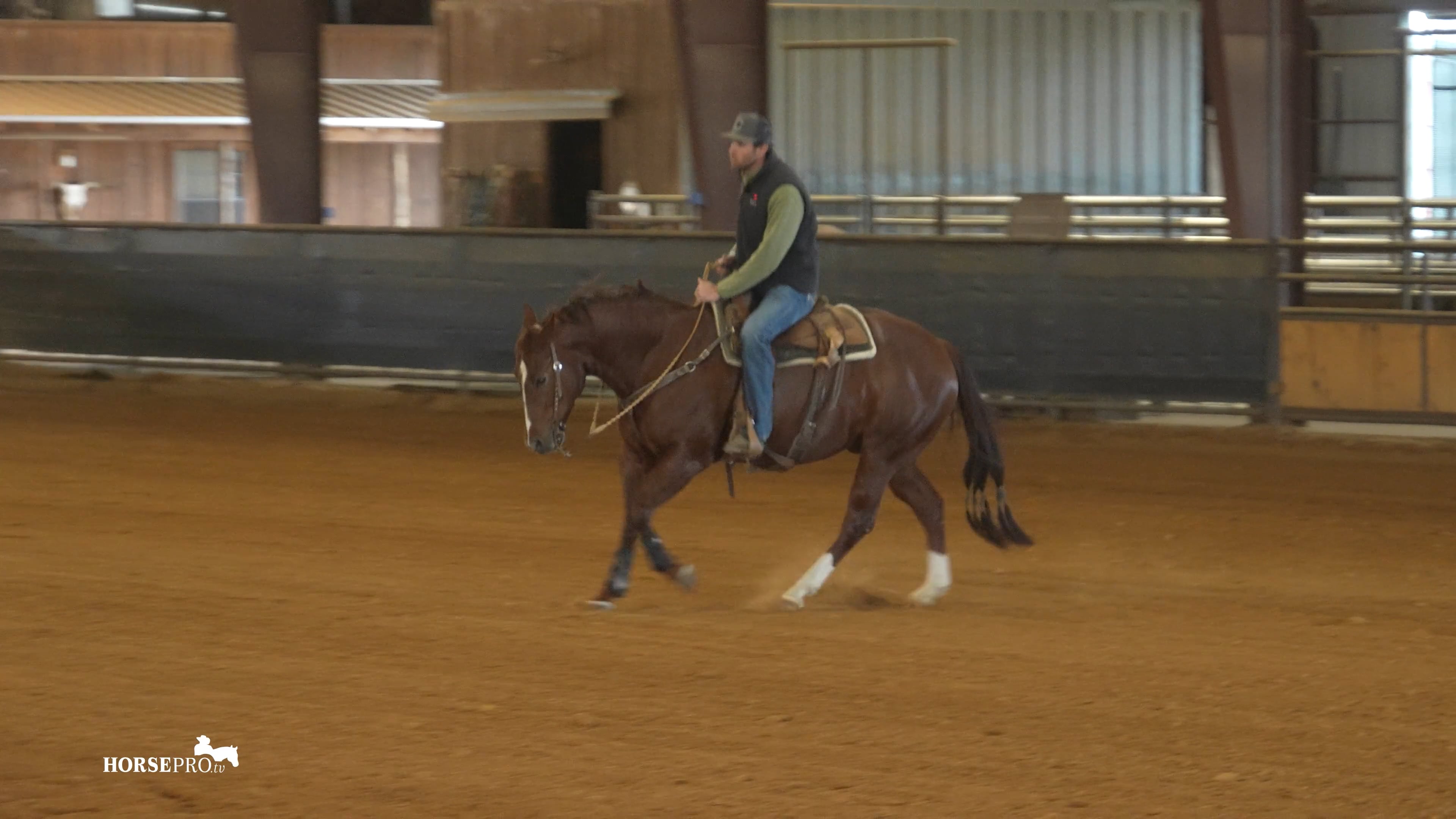 Episode 1: Advancing in the Bridle Adding Speed