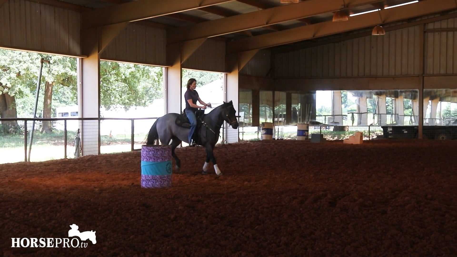 Episode 13: Getting a Horse Ready to Compete after Time Off