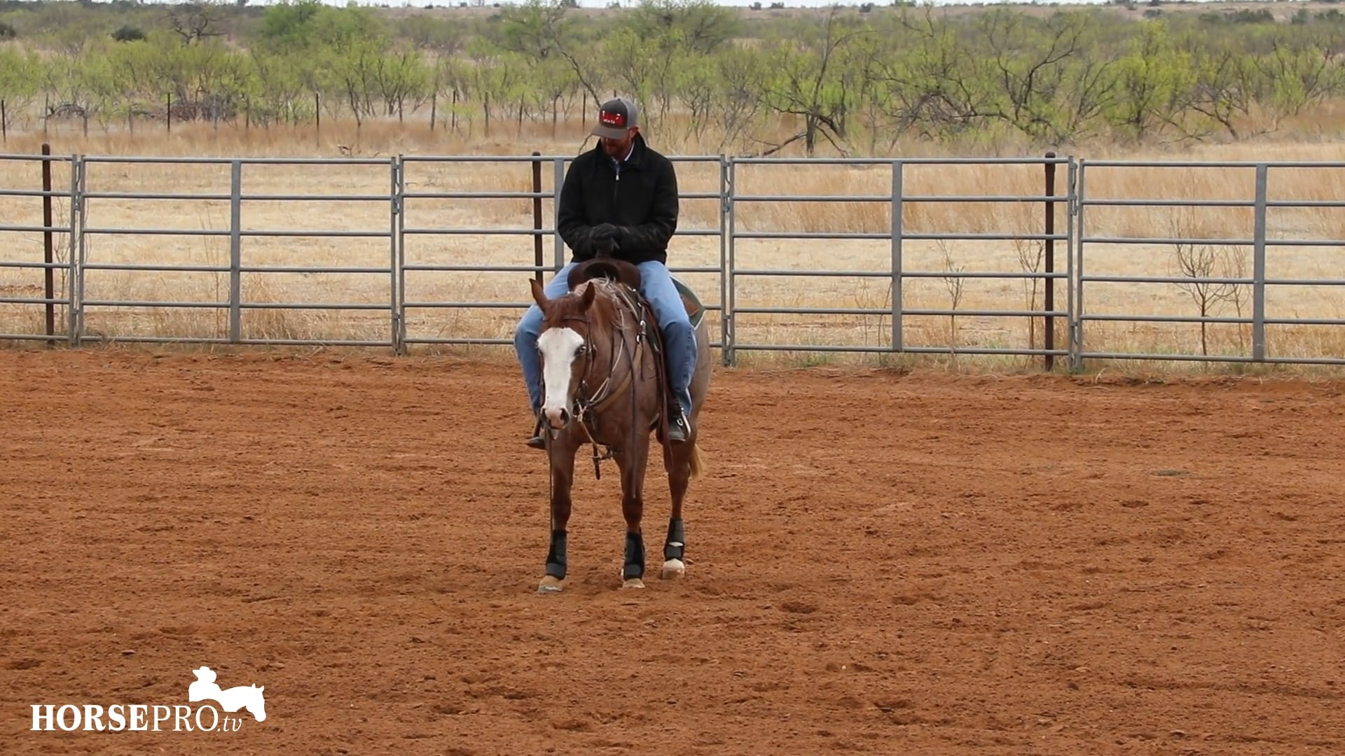 Teaching a 3 Year Old Lead Changes Part 2