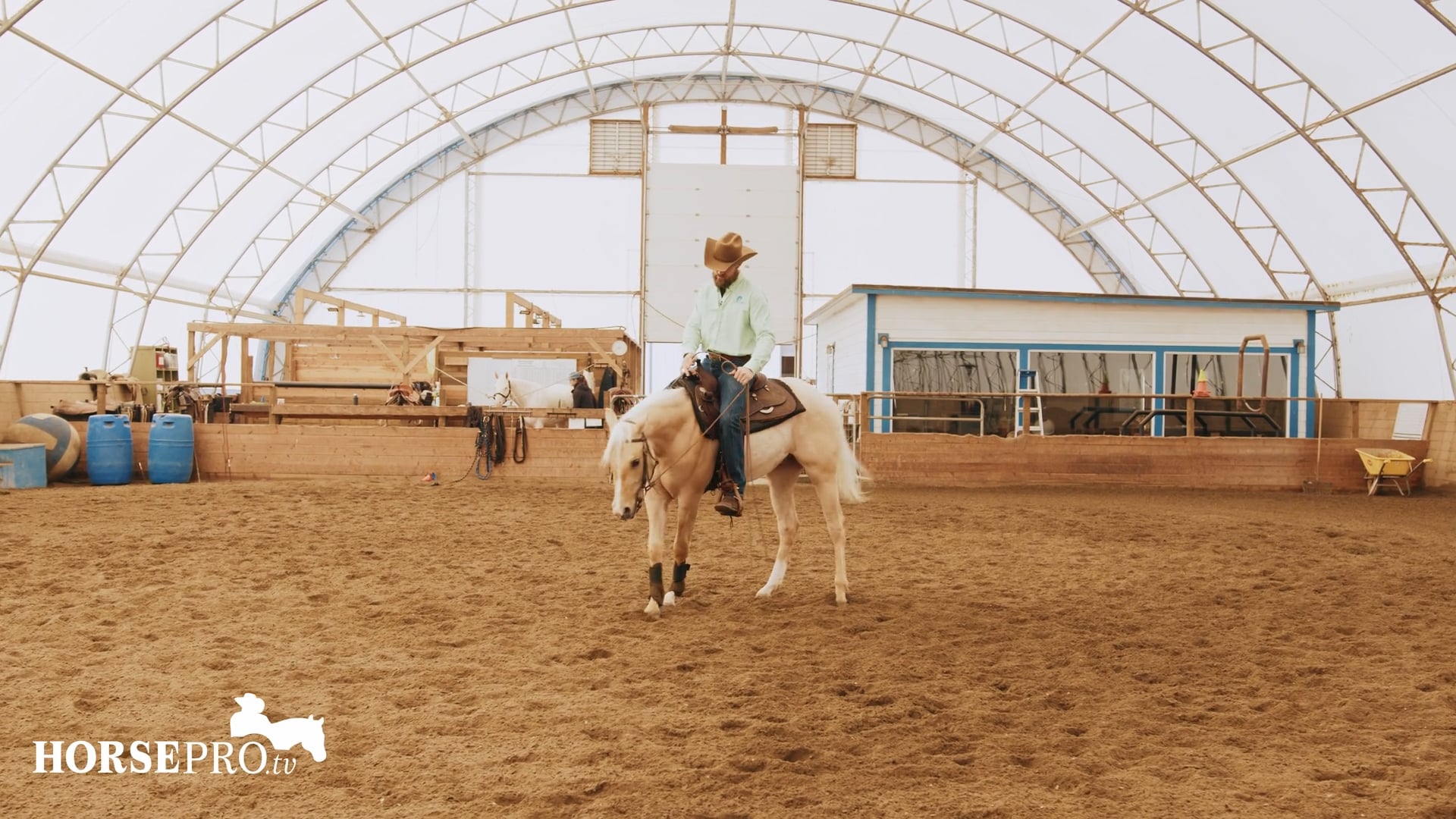 Episode 8: Turning Around on a Young Horse