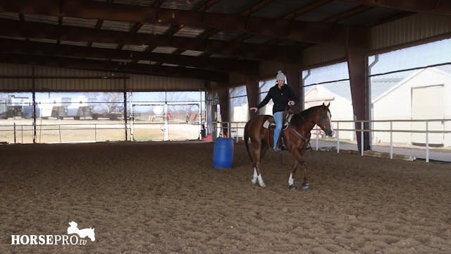 Helping a Horse that Struggles on the...