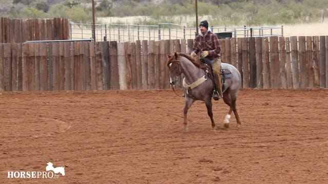 Preparing a Horse to Practice Trail O...