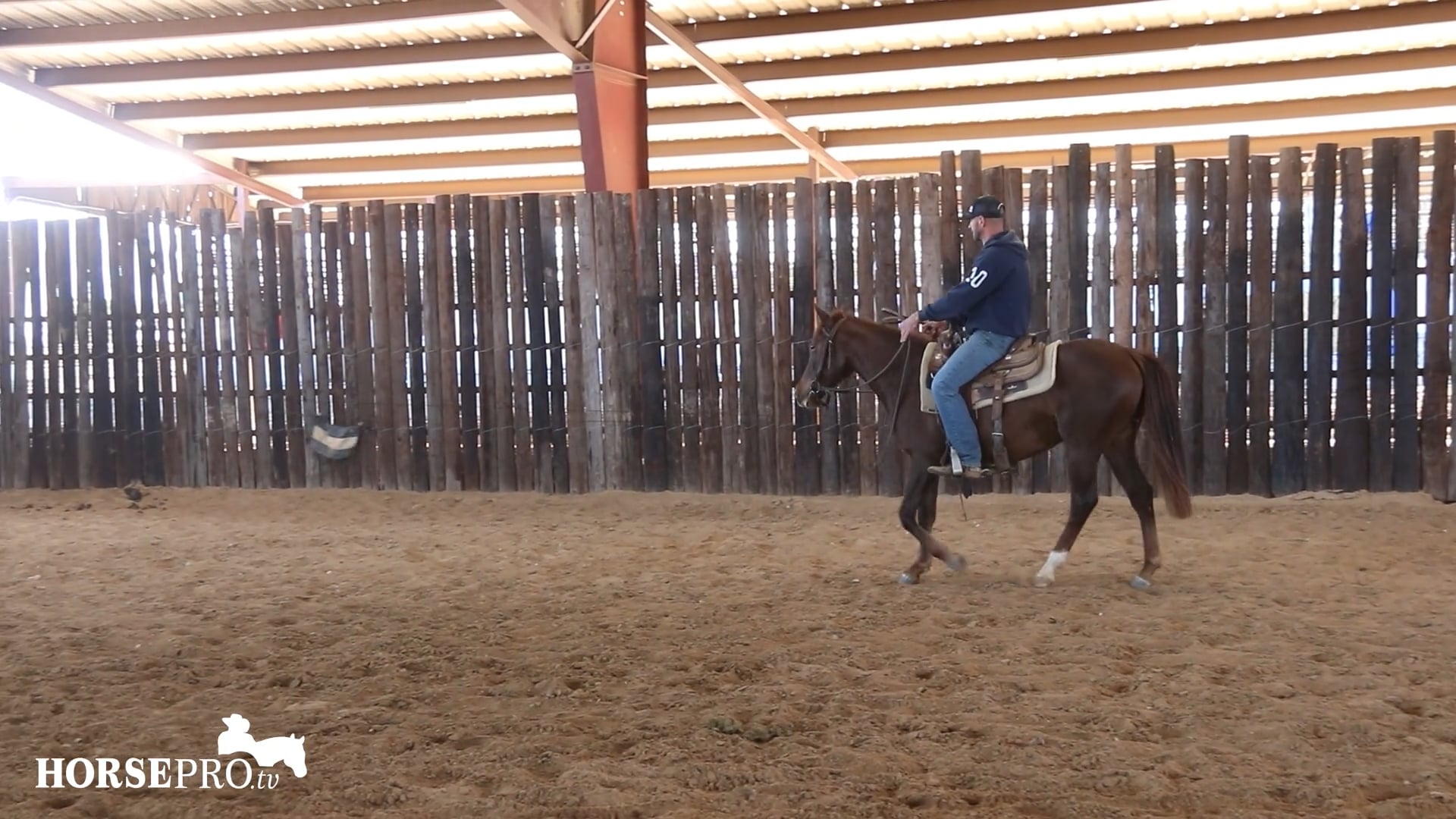 Episode 4: Starting a Horse on the Flag