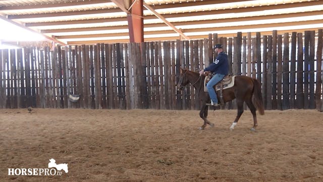 Episode 4: Starting a Horse on the Flag