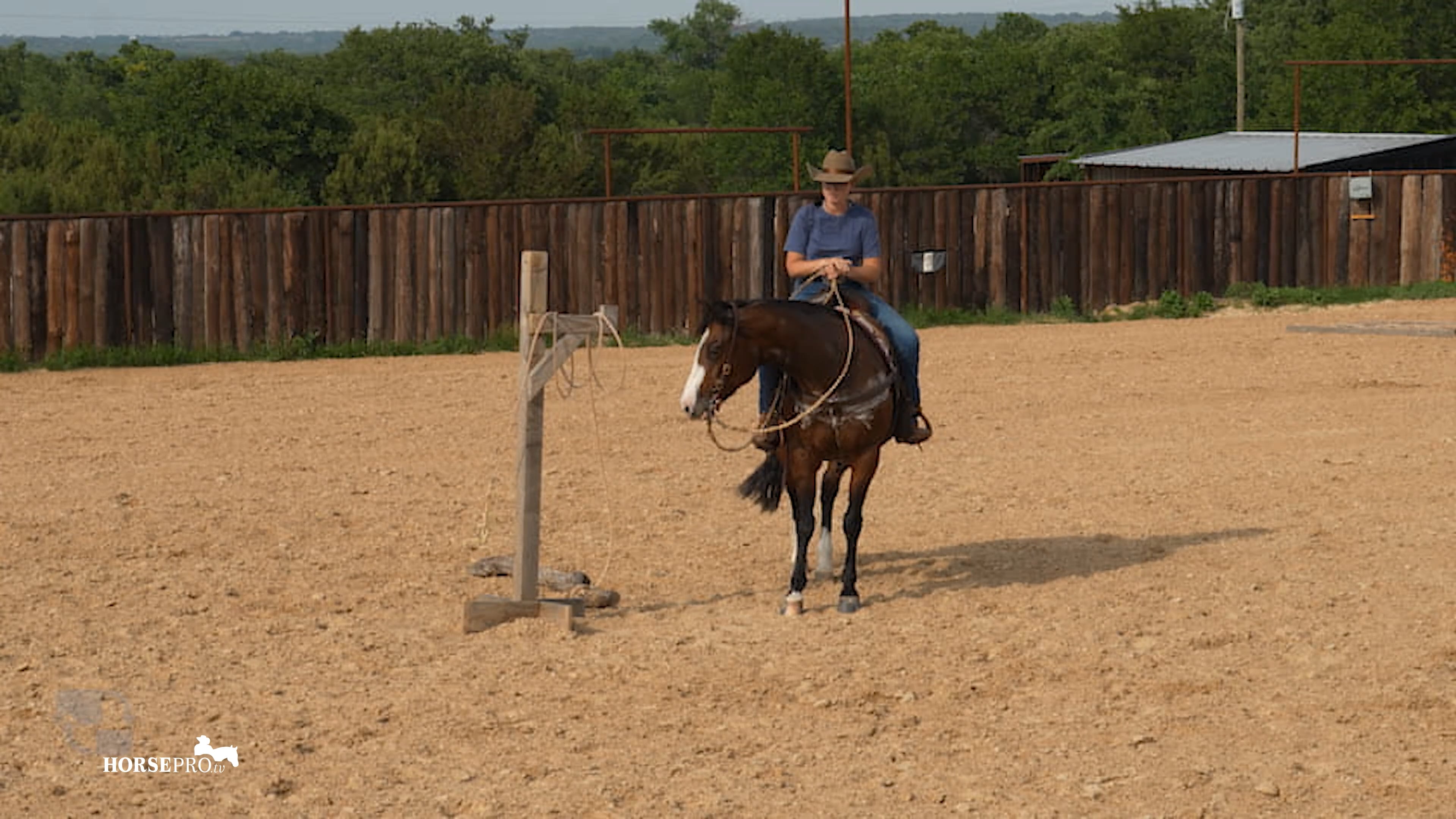 Episode 6: Log Drag with a Nervous Horse