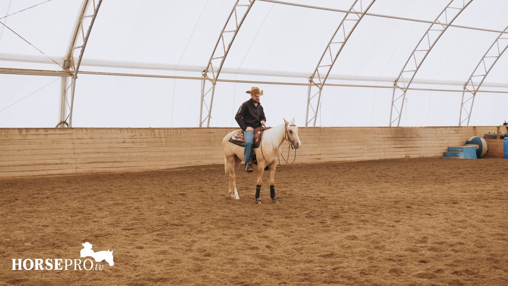 Episode 10: Working through Maneuvers with a Young Horse