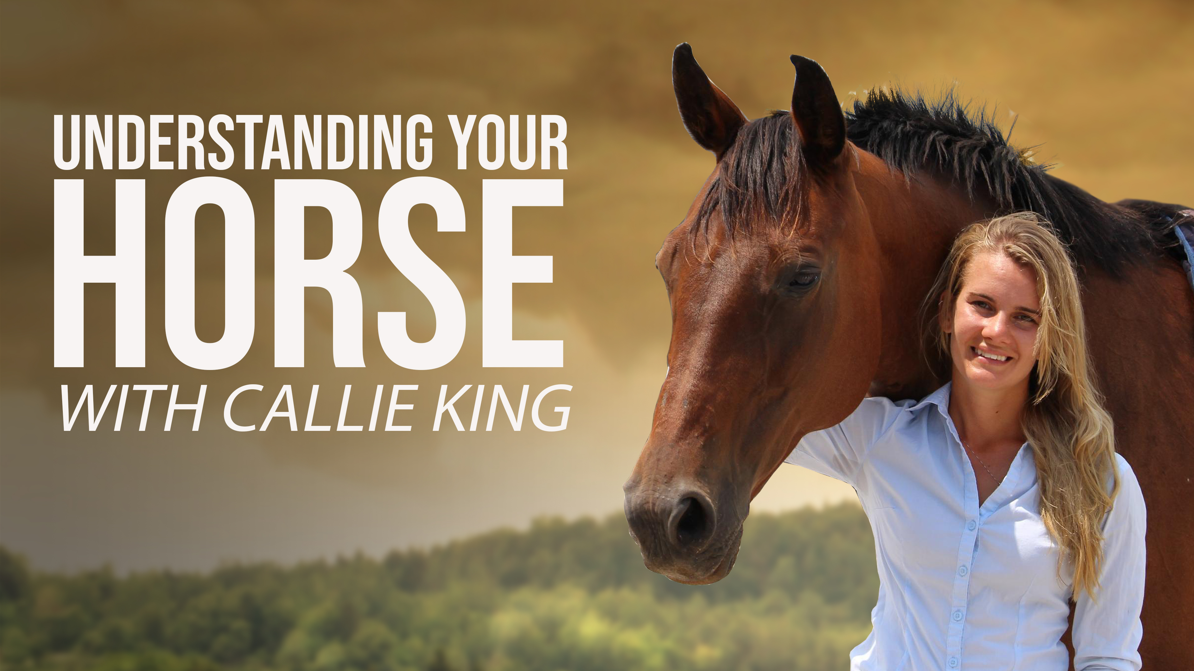 Understanding Your Horse