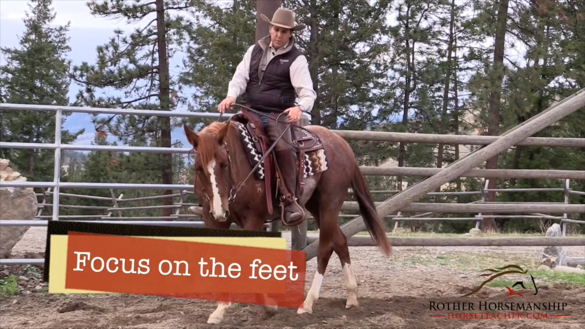 Give Your Horse A Purpose