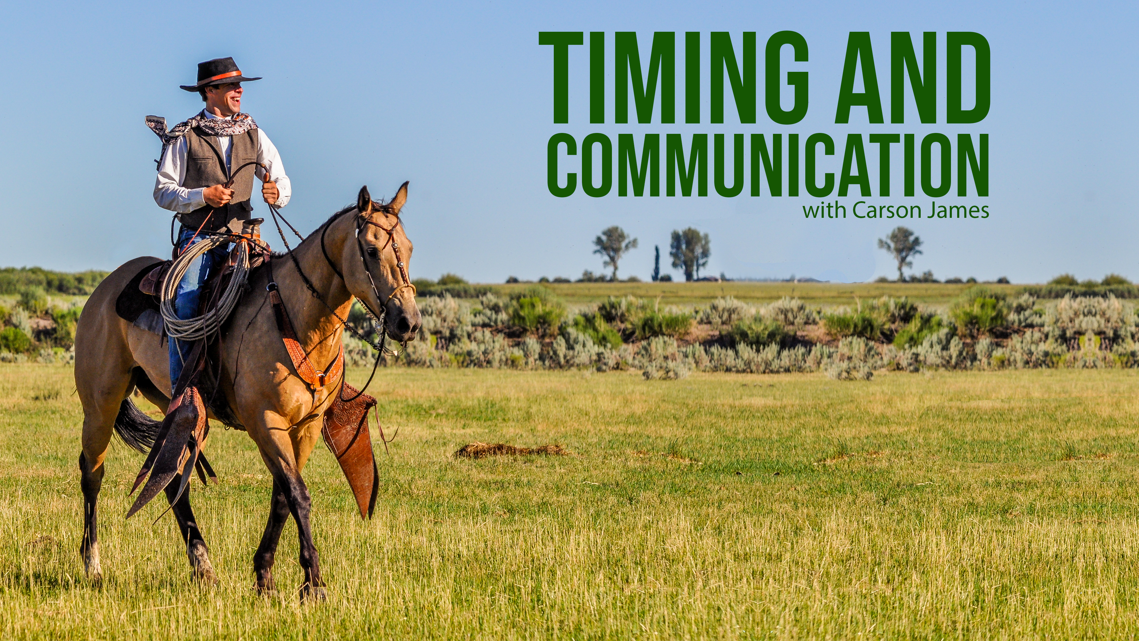 Timing & Communication