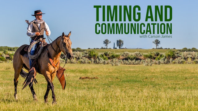 Timing & Communication
