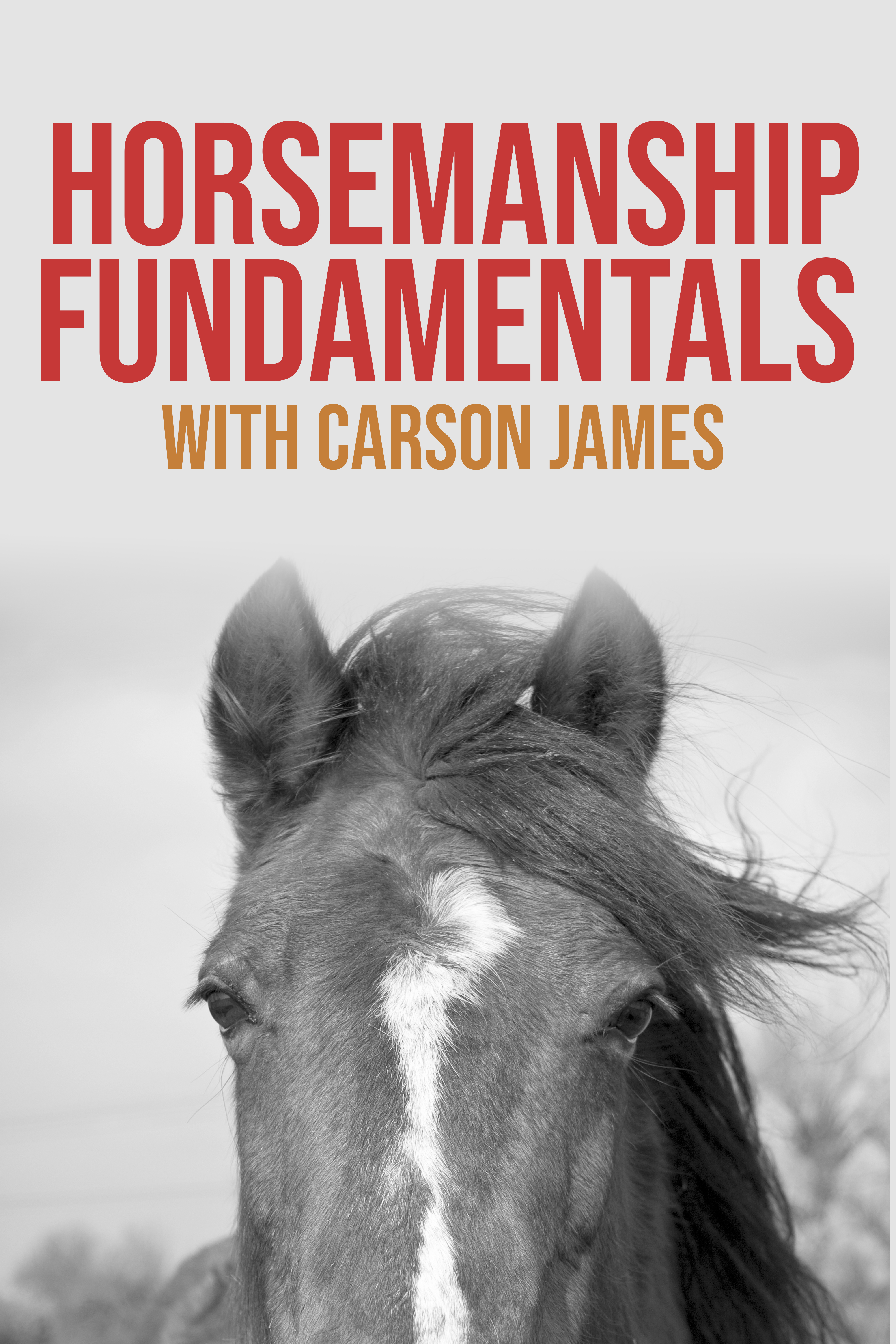 Horsemanship Fundamentals