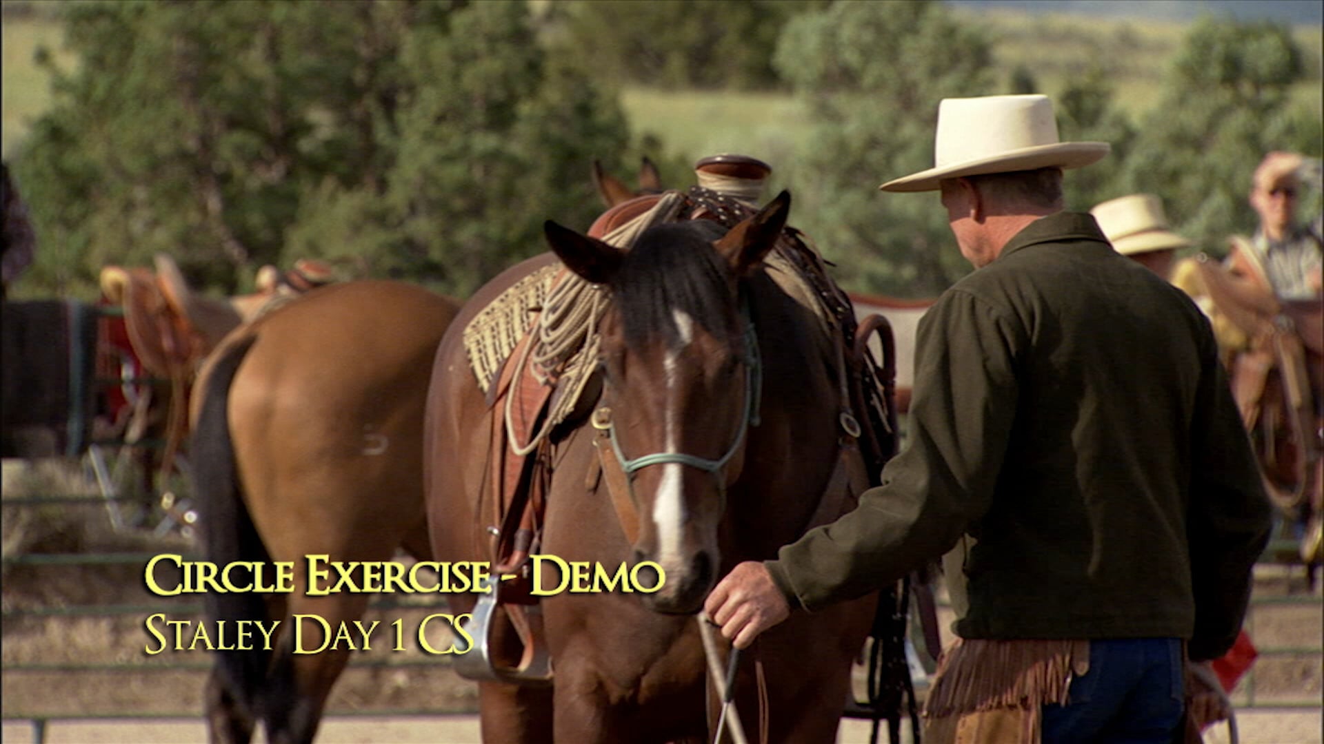 Circle Exercise Demo