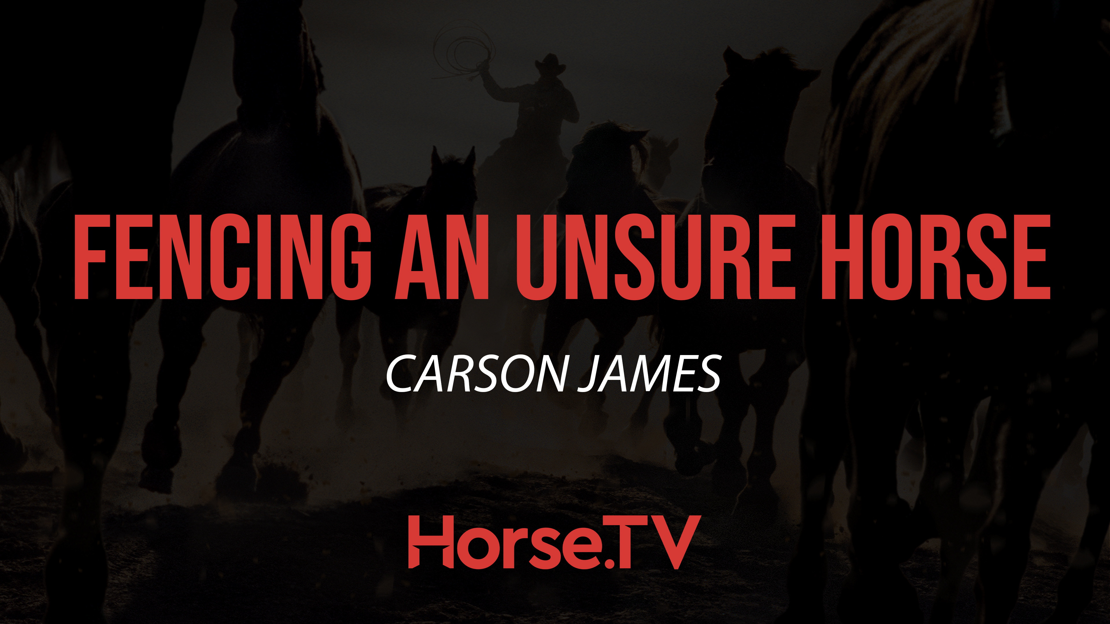 Fencing An Unsure Horse