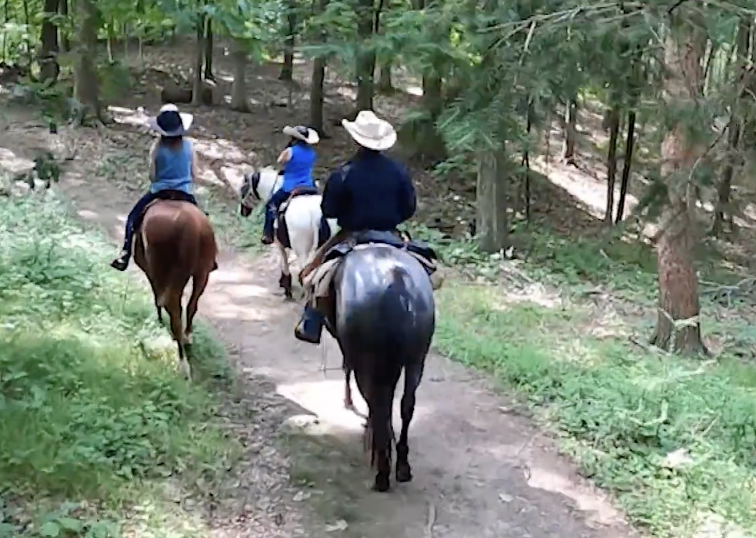 Tarrywile Park Ride | Danbury, CT