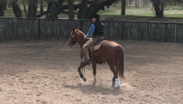 Episode 08 | The Trot