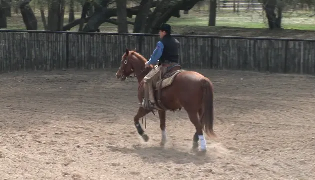 Episode 08 | The Trot