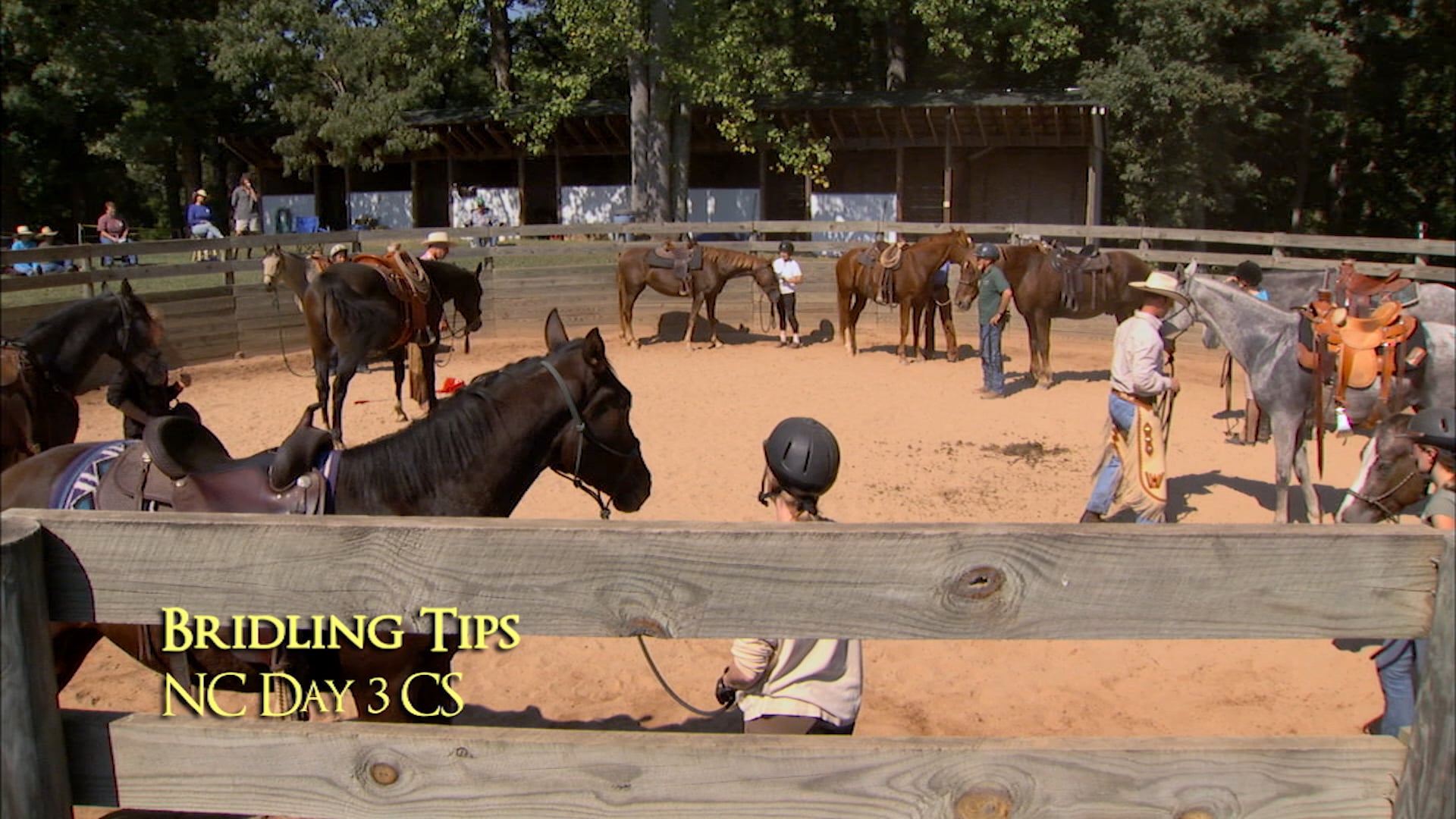 Bridling Tips