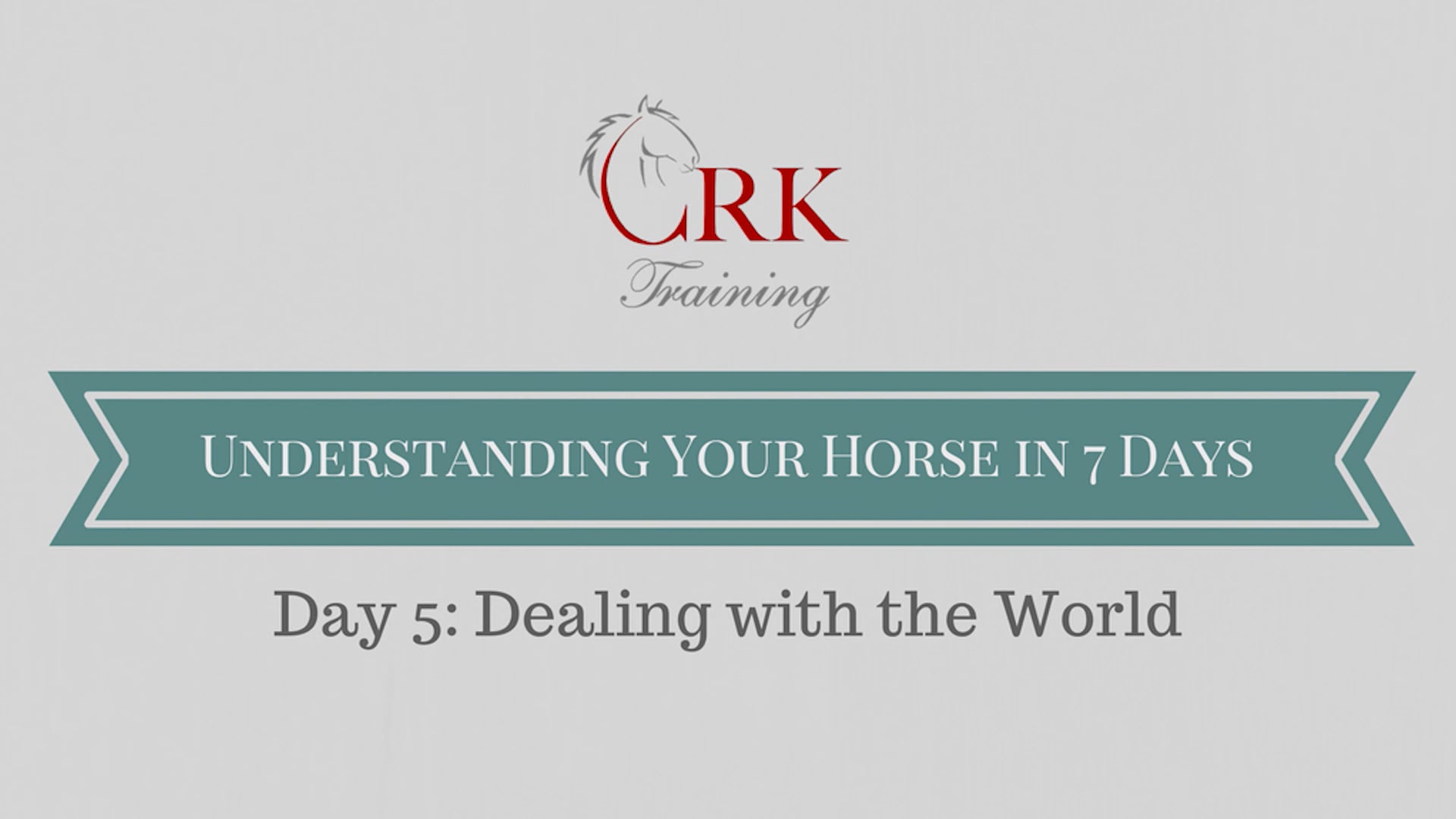 Dealing With The World