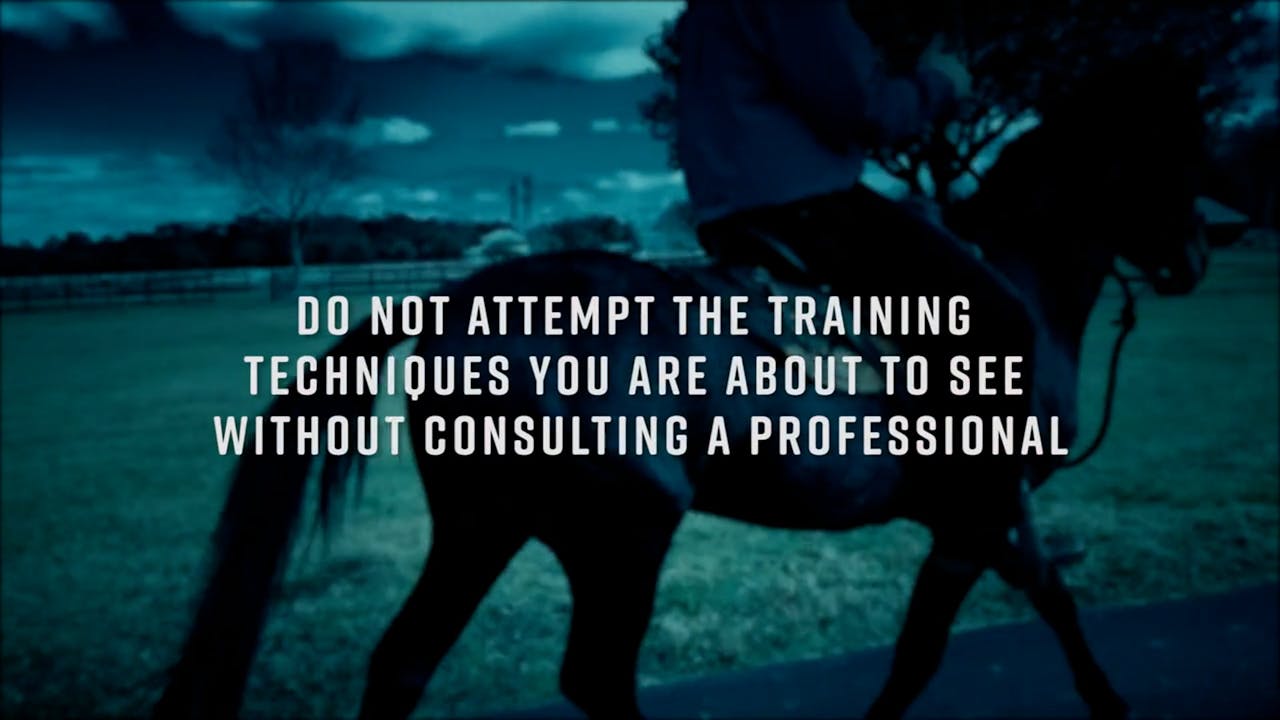 Horse Guru 3 Season 1 Horse.TV