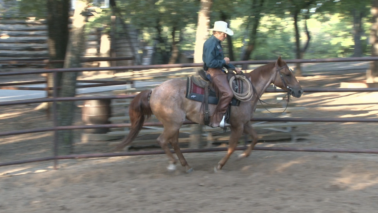 Episode 04 | Techniques For Warming up Your Horse