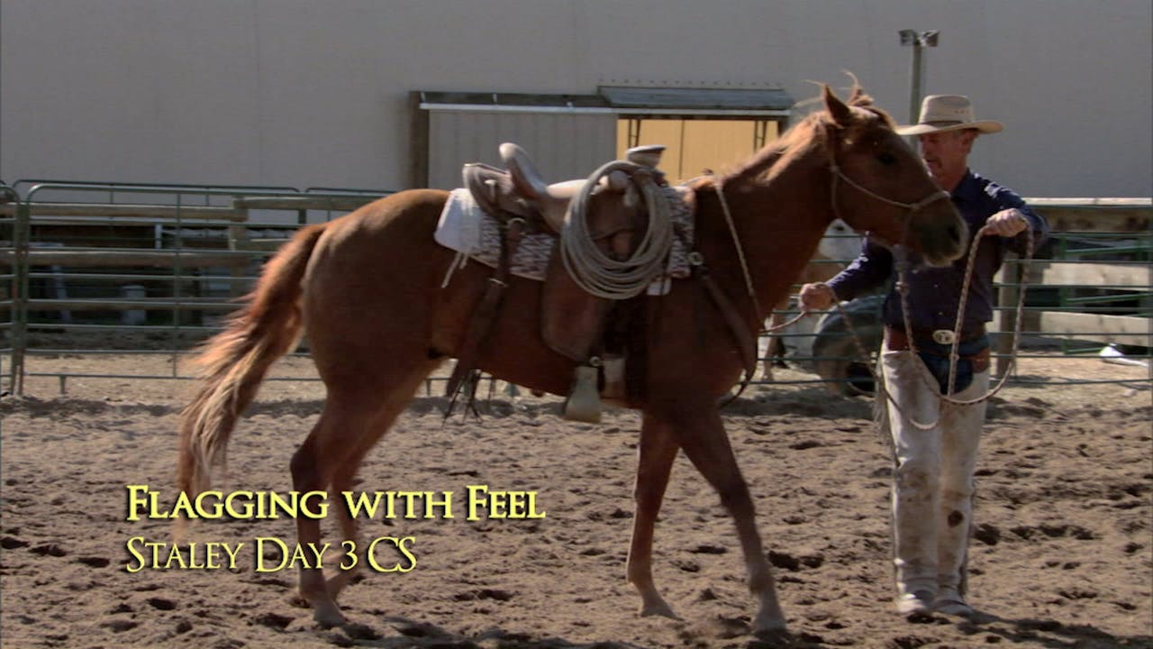 Flagging With Feel Horse.TV