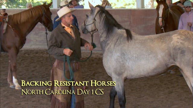 Backing | Resistant Horse