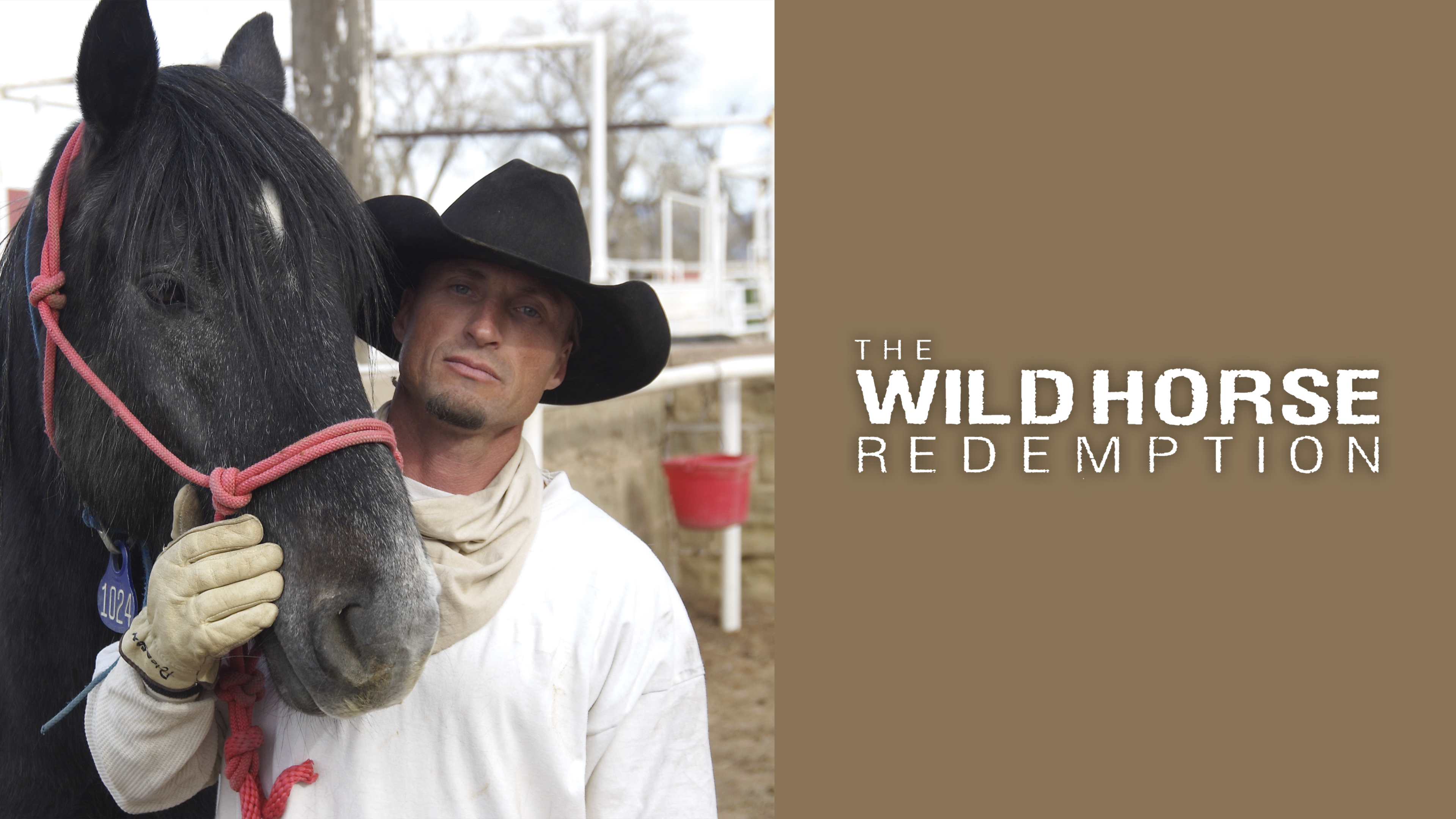 The Wild Horse Redemption