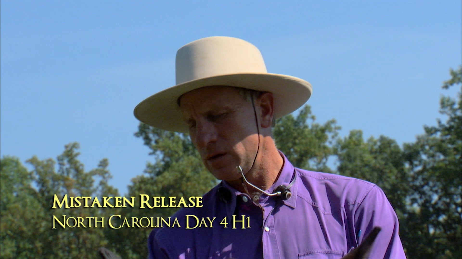 Rein Management Mistakes