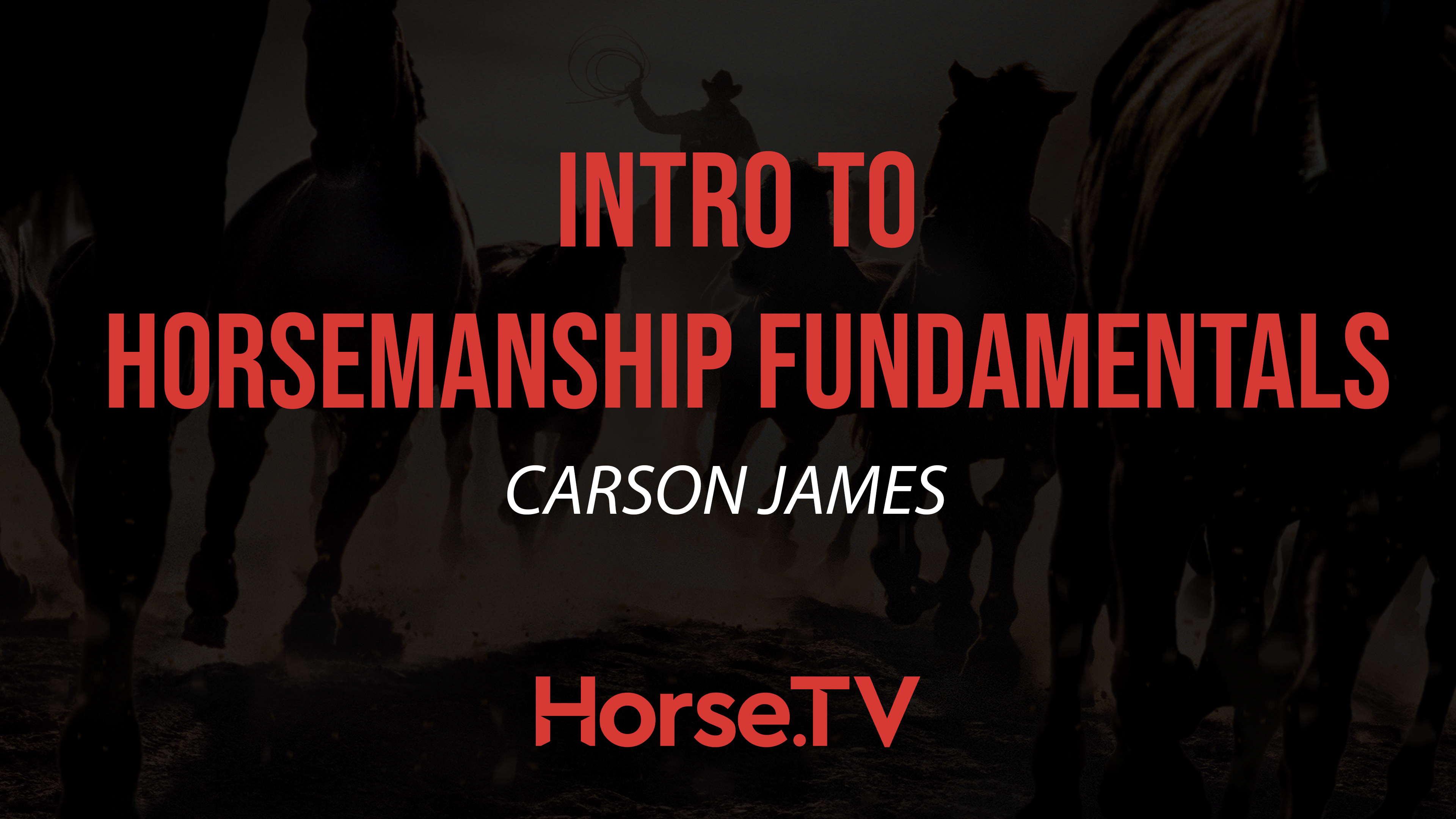 Intro To Horsemanship Fundamentals