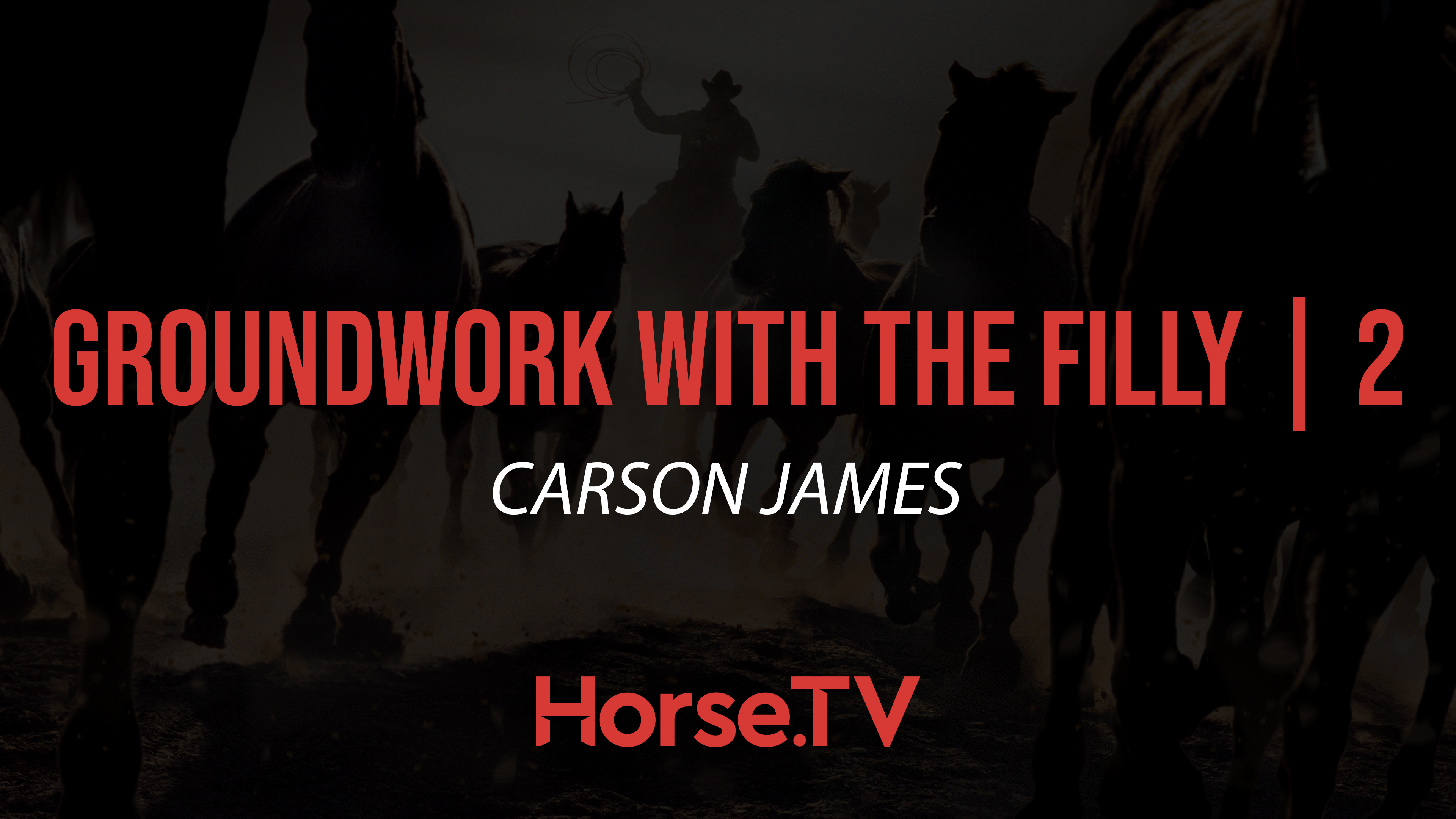 Groundwork With The Filly |2