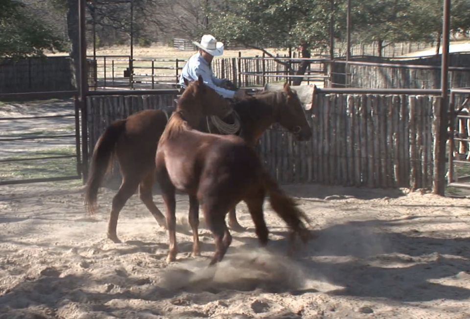 Episode 12 | Colt Start with Ty Murray - Pt 6