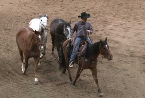 Episode 05 | The Contest