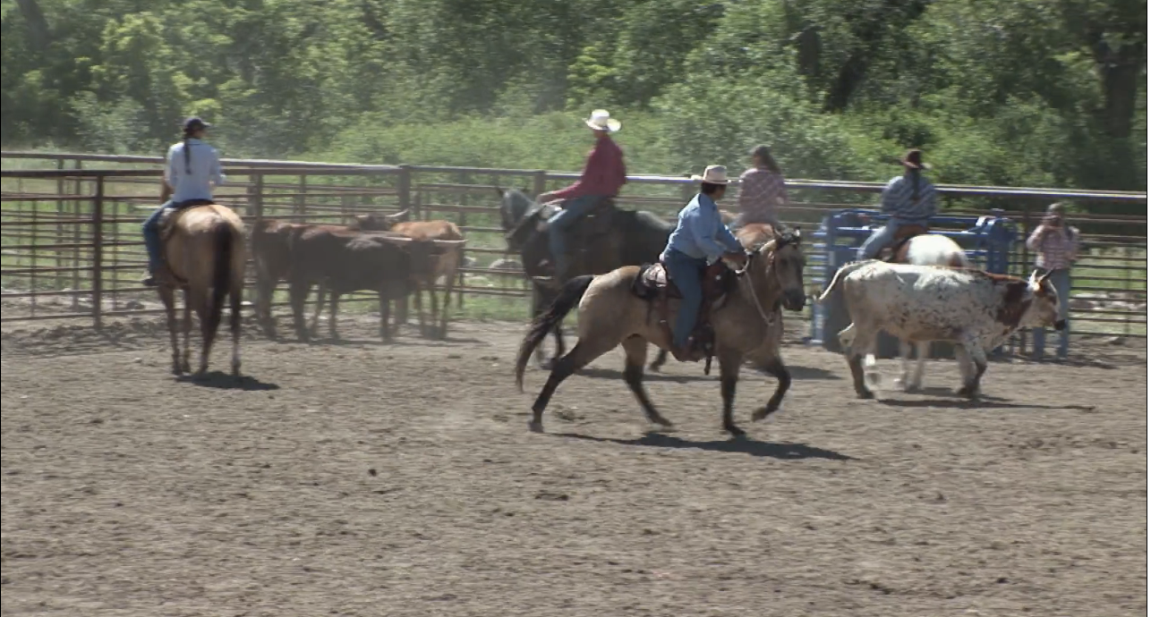 Episode 06 | Apprentice Program