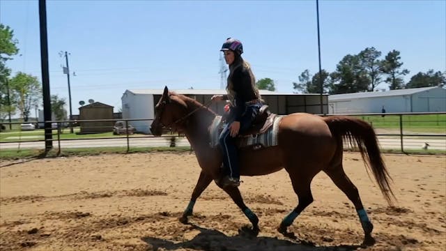 Basics Of Riding A Barrel Horse