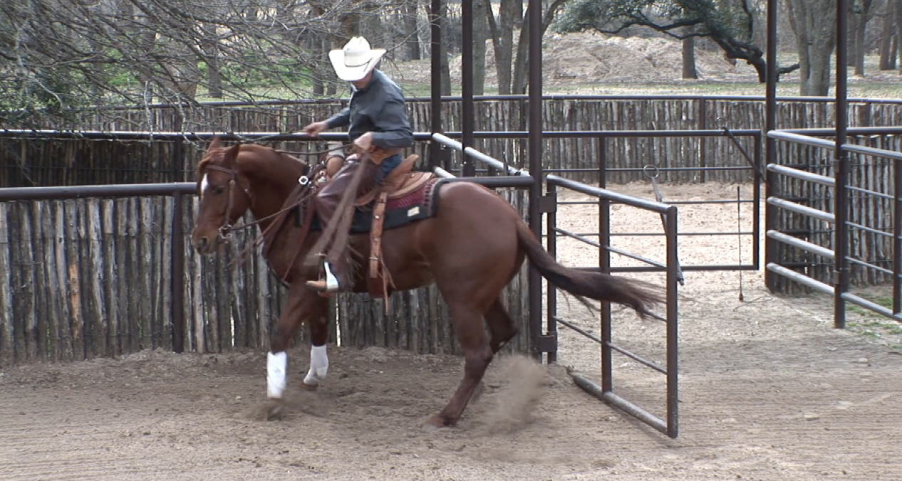 Episode 06 | Spinning