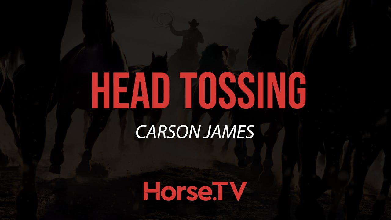 Head Tossing Horse.TV