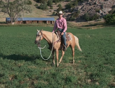 Episode 02 | One Rein Backup