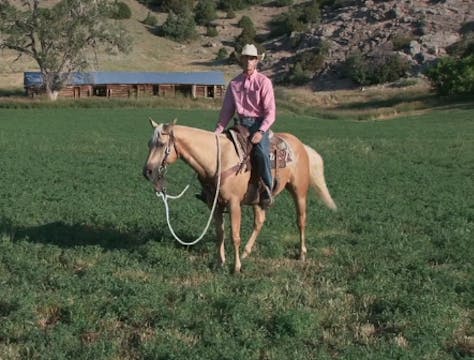 Episode 02 | One Rein Backup