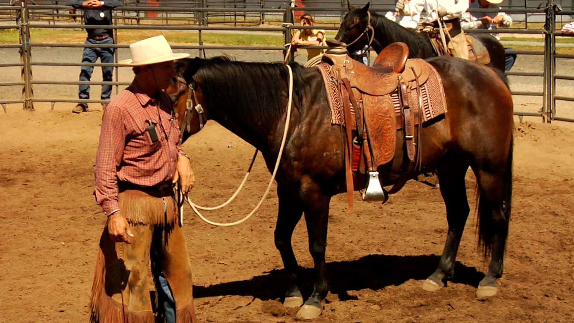 Saddle Pad Selection
