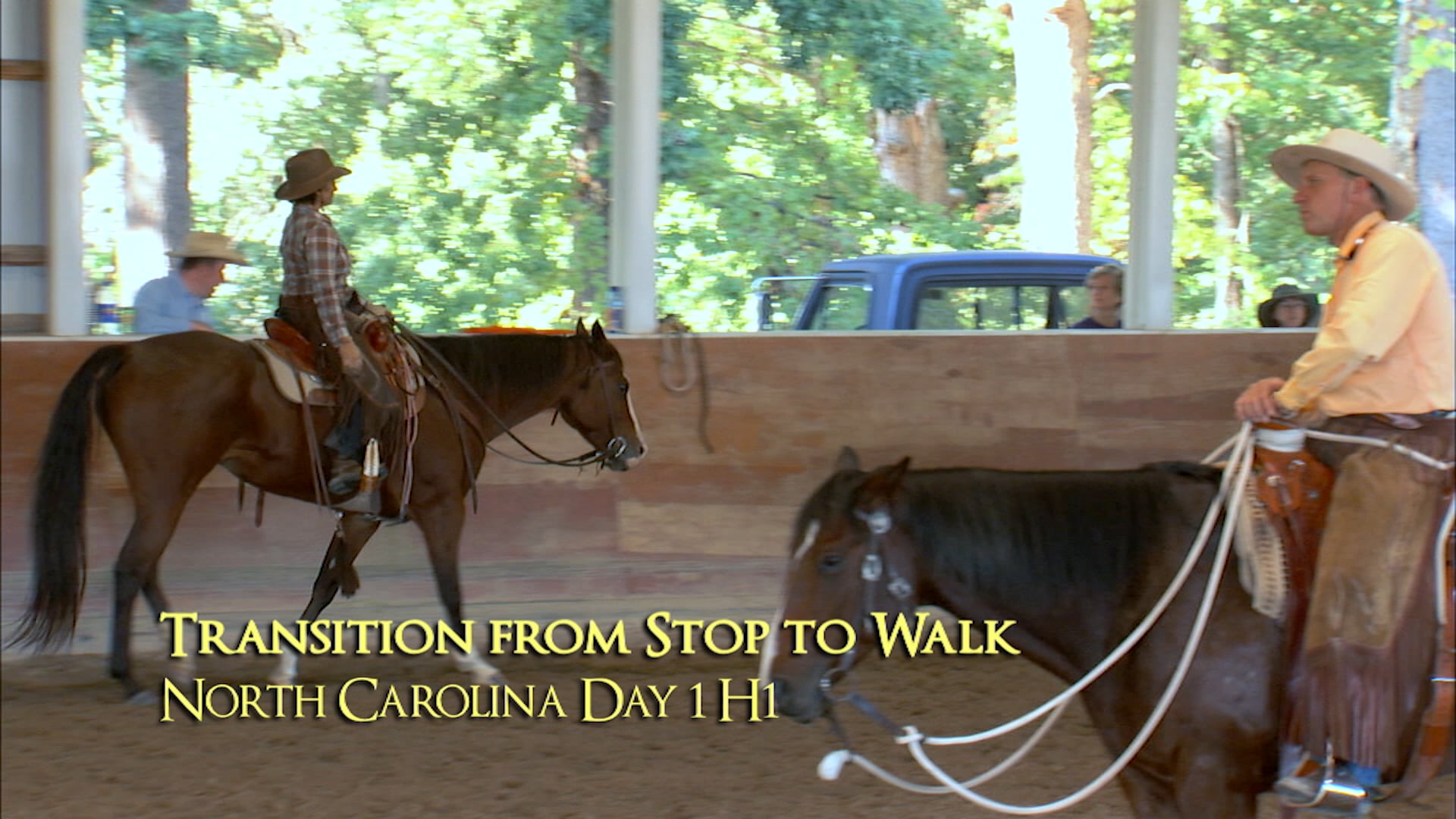 Transition Stop To Walk