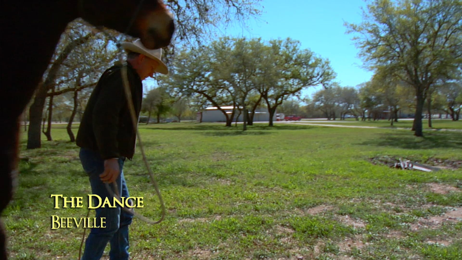 Dance With Your Horse