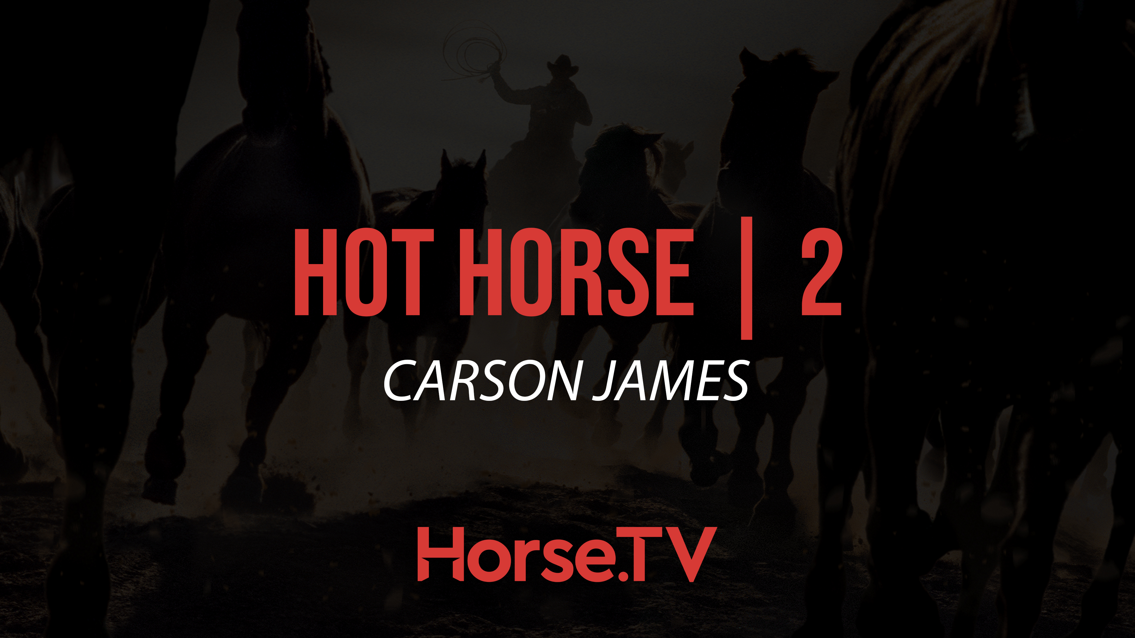Hot Horse |2