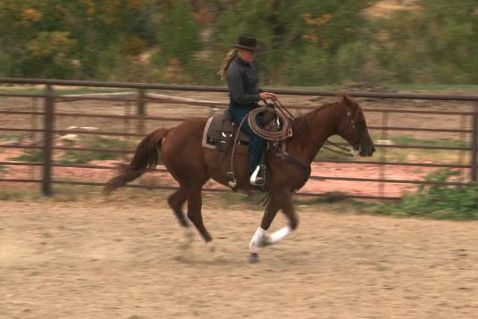 Episode 05 | Finishing A Horse 2