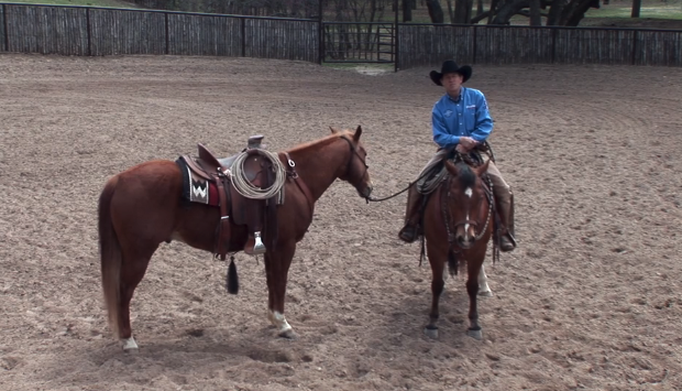 Episode 07 | 2nd Horse Training