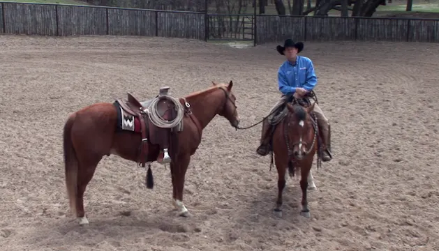 Episode 07 | 2nd Horse Training