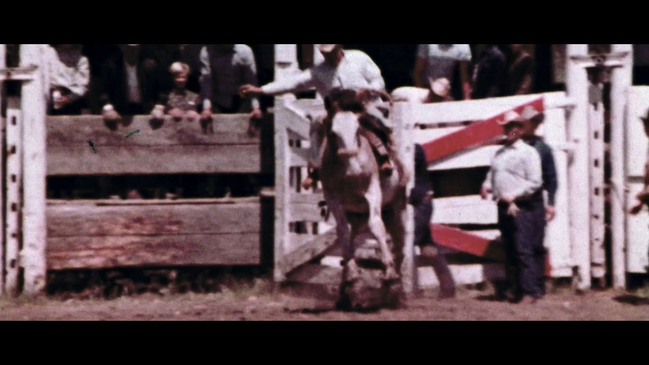 Floating Horses Trailer Horse.TV