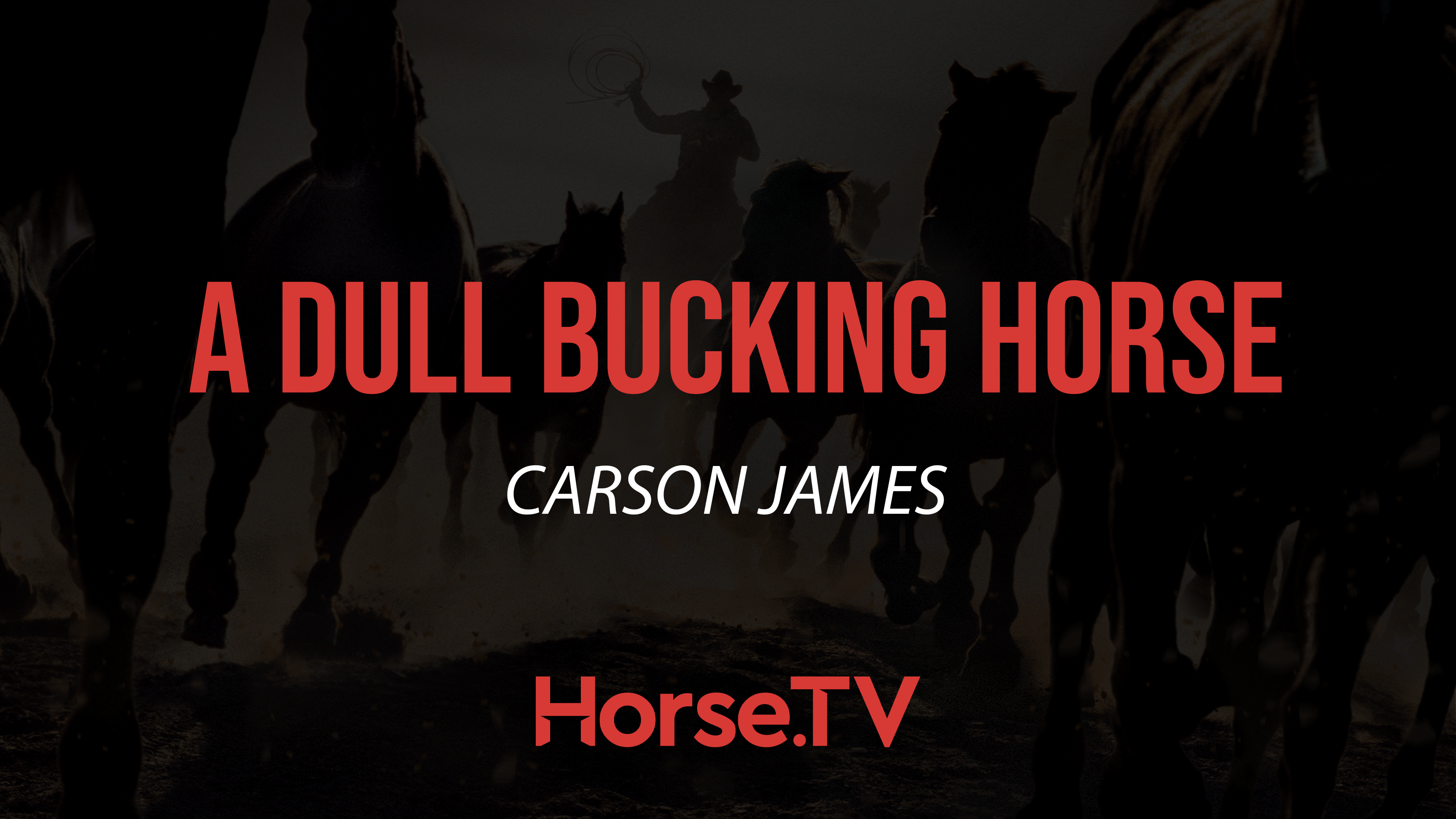 A Dull Bucking Horse