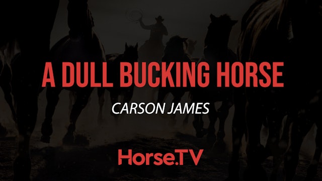 A Dull Bucking Horse