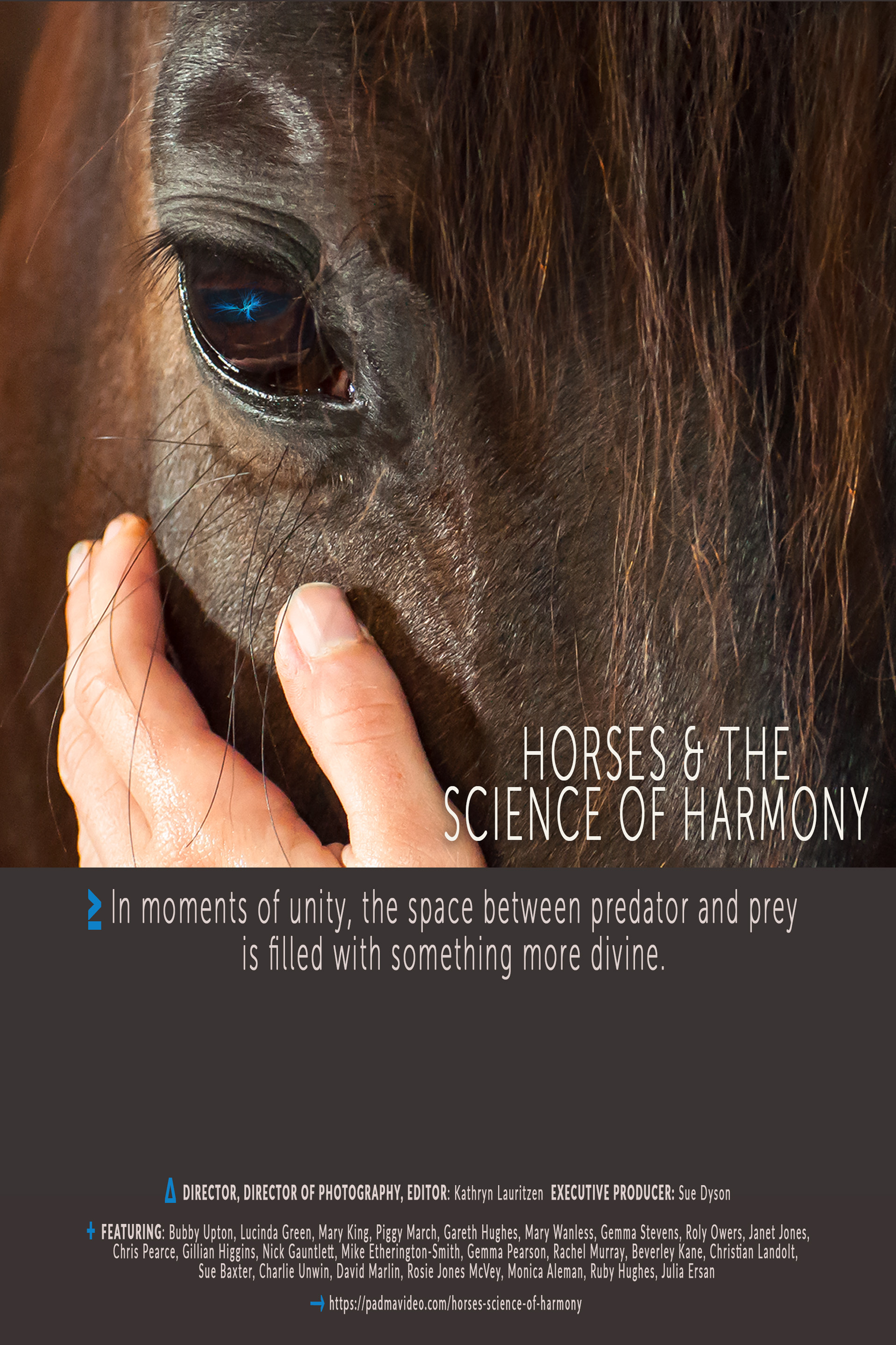 Horses & the Science of Harmony